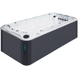 Плавальний SPA басейн Passion Spas Activity 2 (549x226x126 см), Сріблясто-білий